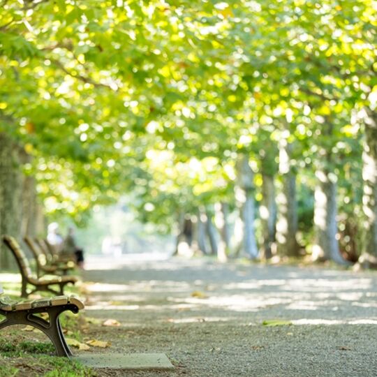AdobeStock_93778446
